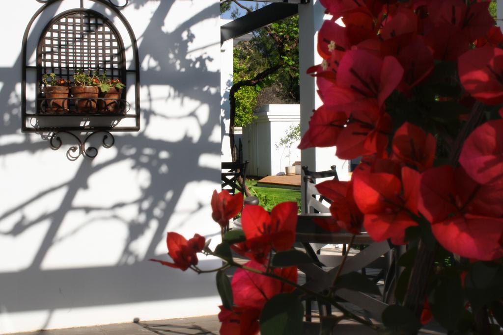 Lemon & Lime Guesthouse Bloemfontein Exteriér fotografie