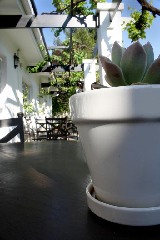 Lemon & Lime Guesthouse Bloemfontein Exteriér fotografie