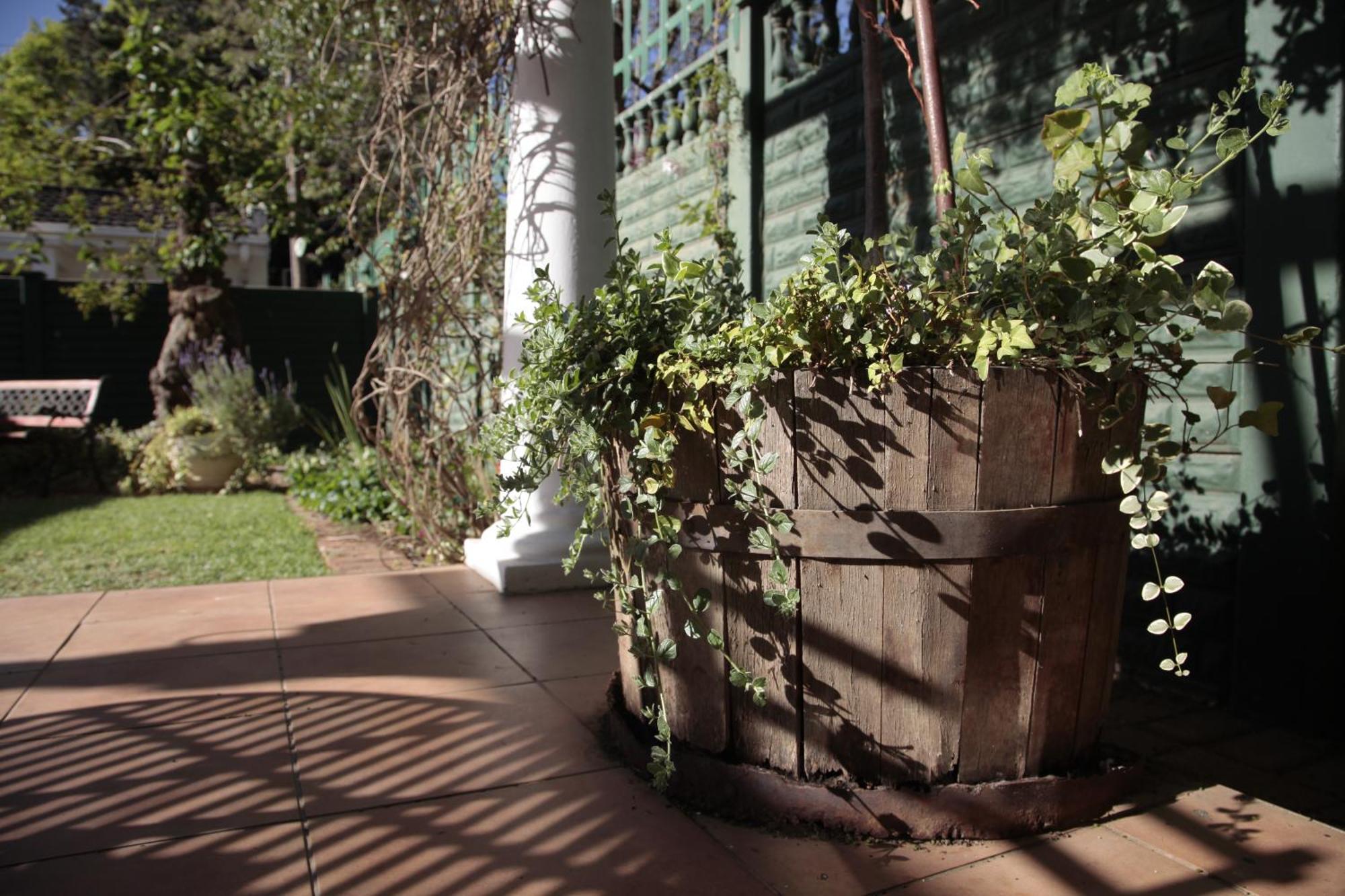 Lemon & Lime Guesthouse Bloemfontein Pokoj fotografie